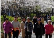 (2017.04.10) 봄따라~ 꽃길따라~!!