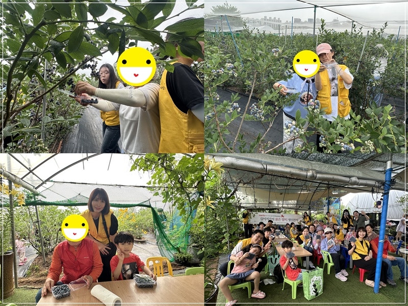 [재가] 2026년 십이지간지 붉은 말띠 생신잔치 진행