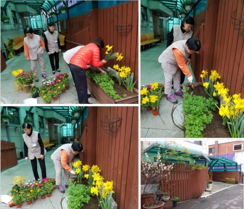 (2017.04.05) 마포노인복지센터  새봄맞이 꽃단장